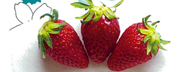 Foodie - 06/2012