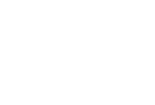 Bones and Blades